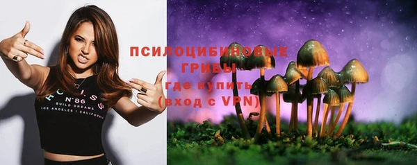 амф Алексин